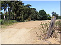 TM2343 : Footpath to Foxhall Road & the A12 Martlesham Bypass by Geographer