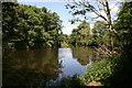 SJ4159 : The River Dee at Aldford by Jeff Buck