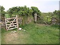 SW9075 : Gate and stile near Trethillick by Derek Harper