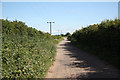 SK6485 : Beech Farm byway by Richard Croft