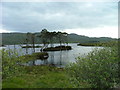 NC2026 : Islets on Loch Assynt by Dave Fergusson