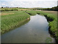 SX6741 : Reedbeds near Thurlestone Sand by Philip Halling