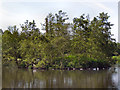 SJ9599 : Stamford Park Upper Lake by David Dixon