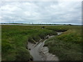 SD4559 : Tidal creek on Aldcliffe Marsh by Alexander P Kapp