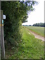 TM2864 : Footpath to the B1120 Badingham Road by Geographer