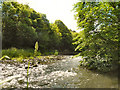 NZ1860 : River Derwent, Derwenthaugh Park by David Dixon