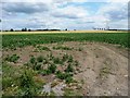 SE5323 : Open field entrance, east of Sudforth Lane by Christine Johnstone