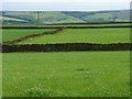 SE1013 : Drystone walls, south of Intake Lane by Christine Johnstone