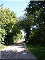 TM3864 : Footpath to Carlton Road by Geographer