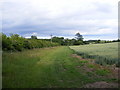 TM3872 : Footpath to the A144 by Geographer