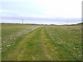 NM1454 : Track over the machair by Gordon Brown