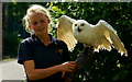 TQ3643 : Izzy and 'Hedwig' by Peter Trimming