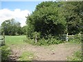 SP2068 : Bridleway to Rowington on the right by Robin Stott