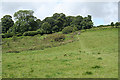 SX6773 : Dartmoor Forest: above Dartmeet by Martin Bodman