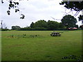 TM4366 : Theberton Village Green by Geographer