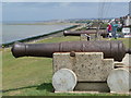 TR1167 : Tankerton: cannons on Marine Parade gardens by Chris Downer