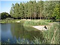 ST5484 : Landscaped pool, Gazeley Park  by Robin Stott