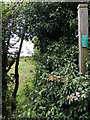 TM4160 : Footpath to Friston Moor & Church Road by Geographer