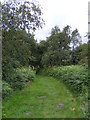 TM4458 : Sailors Path footpath to Priory Road by Geographer