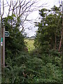 TM3959 : Footpath to the B1069 Church Road by Geographer