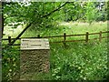 SE1427 : Milestone, Judy Woods by Christine Johnstone