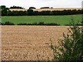 SE2914 : Fields west of Bretton Lane by Christine Johnstone