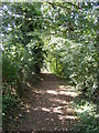 TM3764 : Footpath to the A12 & Rendham Road by Geographer