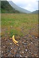 NN1868 : Litter in Glen Nevis by Mick Garratt