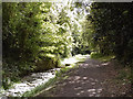 SJ6903 : The Shropshire Canal at Blists Hill by David Dixon