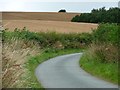 SO3078 : Wheatfields on the south side of Clun Hill by Christine Johnstone