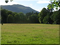 NN6008 : Ben Ledi from Kilmahog by M J Richardson