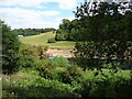 SO7485 : A small 'beach' on the east bank of the Severn by Christine Johnstone