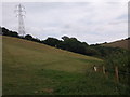 SX9379 : Field and power lines near Landon Barton by Rob Purvis