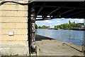 SU8586 : Underneath Marlow Suspension Bridge, Marlow, Buckinghamshire by Christine Matthews