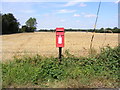 TM2151 : Gull Corner Postbox by Geographer