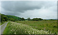 SN7063 : Cors Caron near Allt-ddu farm, Ceredigion by Roger  D Kidd