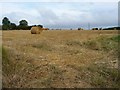 SE5015 : Swiss rolls in stubble field by Christine Johnstone