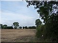 SE5015 : Gappy and overgrown hedges in a field corner by Christine Johnstone