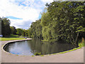 SJ8986 : Bramall Hall Park Lake by David Dixon