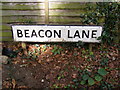 TM2447 : Beacon Lane sign by Geographer