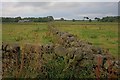  : Wall Junction near Linglands Farm by Mick Garratt