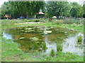 TQ3176 : Pond in the Nature Conservation Area, Myatts Fields Park by Marathon