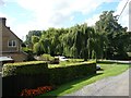 SP7566 : Willow trees, Boughton by Humphrey Bolton