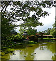 SU9185 : Cliveden, water garden by Graham Horn