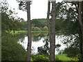 SE7169 : South Lake seen through the trees at Castle Howard by pam fray