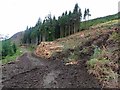 NM4750 : Forestry on the slopes above Loch Frisa by Oliver Dixon