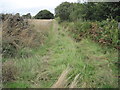 SK3072 : Footpath towards Freebirch by Chris Wimbush