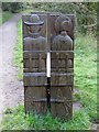 NZ8102 : Reverse view of the carved seat on the old tramway by Pauline E