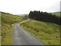  : The Wye Valley Path descends to Pont Rhydgaled by David Purchase