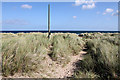 NU1437 : A marker pole at Ross Bank Sands by Walter Baxter